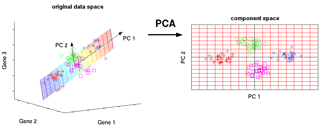 Pca Principal Component Analysis